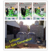 ISO Ce Gas Generator High Efficiency Bio Gas Generator Price
